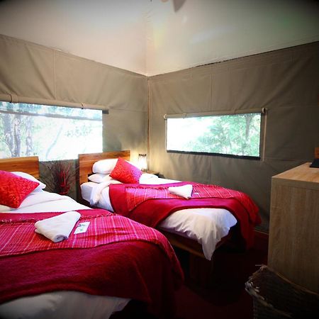 Mali Boutique Lodge & Tube 'N Axe Budget Accommodation Stormsrivier Rom bilde