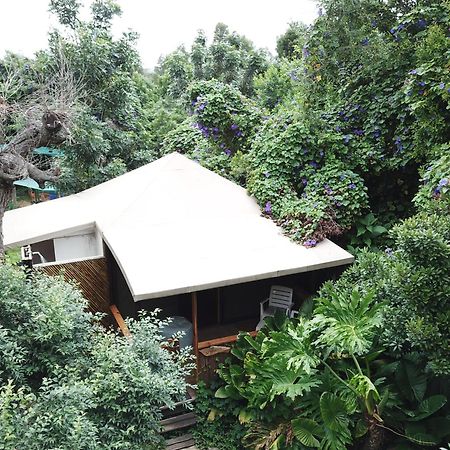 Mali Boutique Lodge & Tube 'N Axe Budget Accommodation Stormsrivier Rom bilde