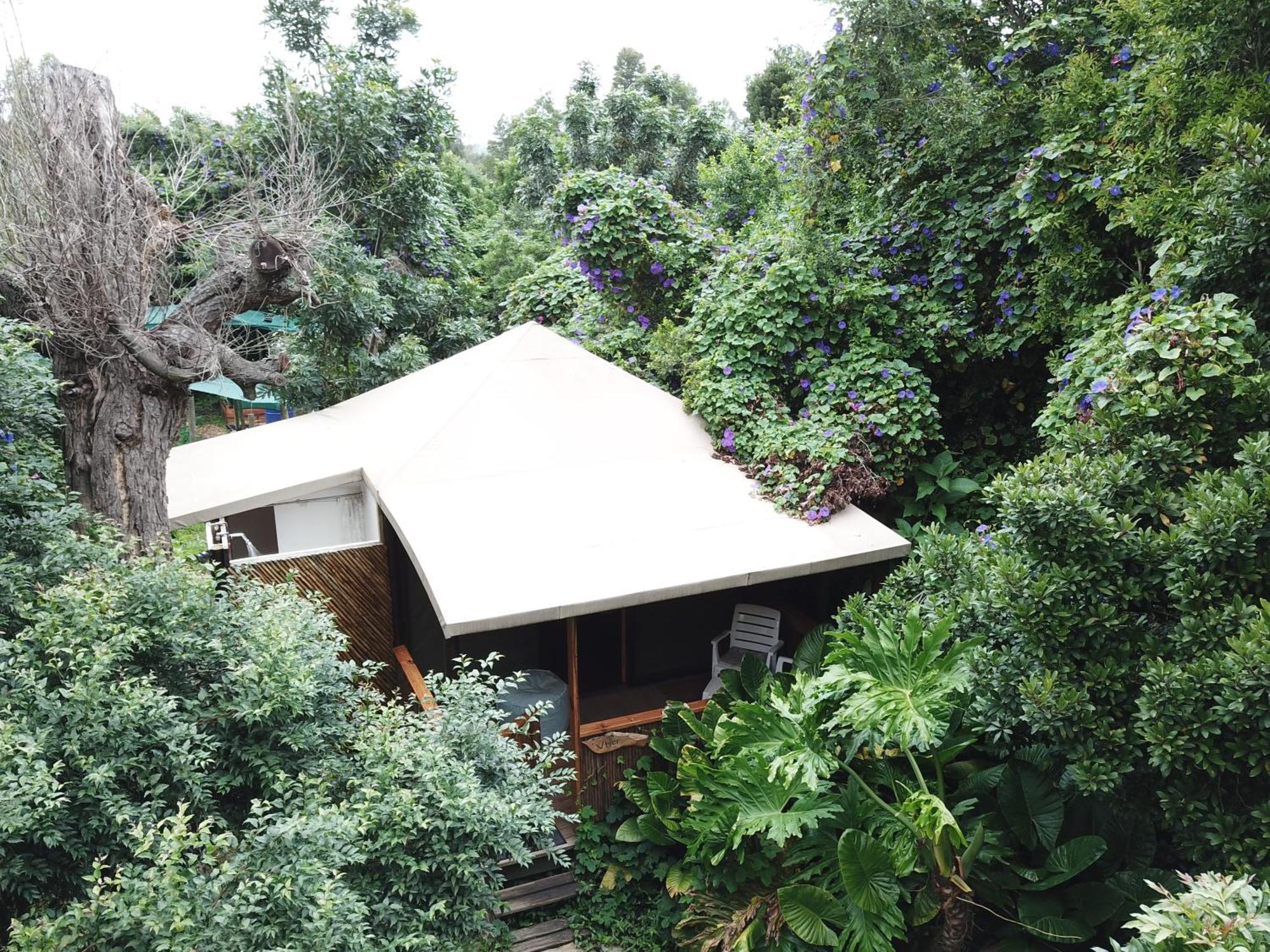 Mali Boutique Lodge & Tube 'N Axe Budget Accommodation Stormsrivier Rom bilde